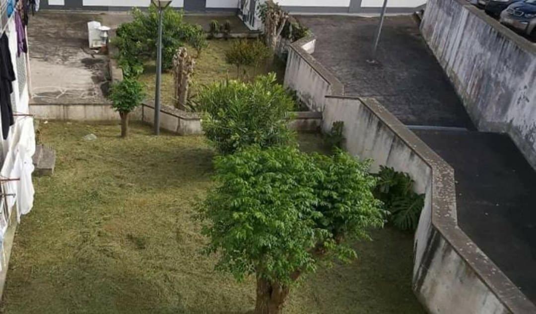 Apartamento Orquidea Ponta Delgada Eksteriør billede
